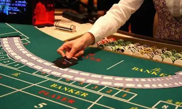 5050bet